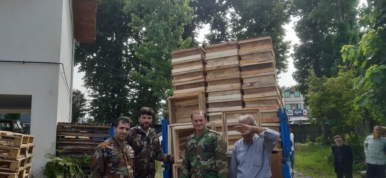 قاچاق چوب آلات جنگلی در محور مواصلاتی اتوبان تالش به رضوانشهر