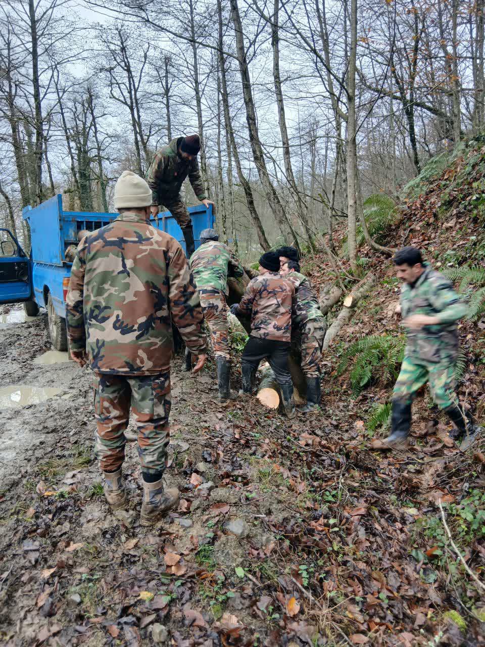 کشف وضبط چوب آلات قاچاق در سیاهکل