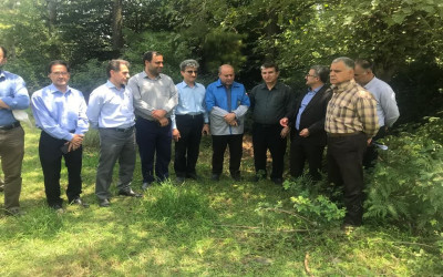 پاکسازی کامل درختان و درختچه‌های واقع در زیر دکل‌های برق فشارقوی