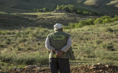 گیلان بالغ بر ۱۵ هزار «همیار طبیعت» دارد