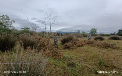 باز پس گیری اراضی ملی در مناطق مختلف شهرستان تالش