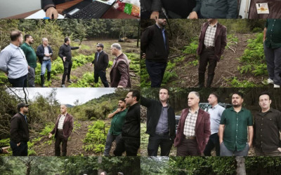 بررسی تعهدات طرح زراعت چوب تنیان صومعه سرا