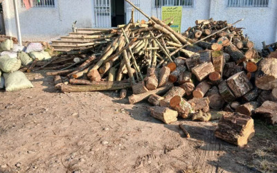 دادستان شهرستان رودسر : با قاچاق چوب و تخریب منابع طبیعی بدون اغماض برخورد می‌شود