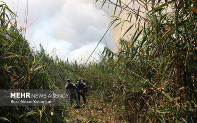 مهار حریق گسترده در تالاب انزلی پس از 8 ساعت تلاش بی‌وقفه